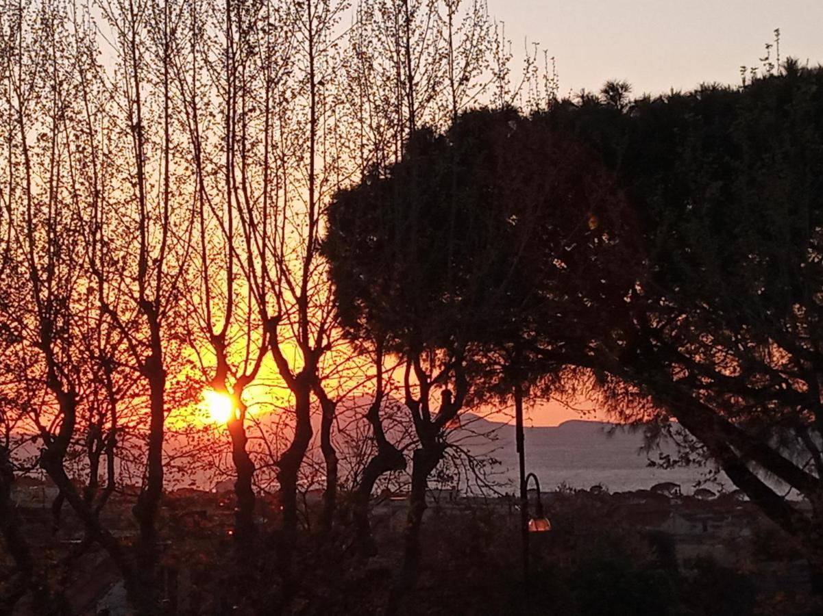 Il Platano Piano di Sorrento